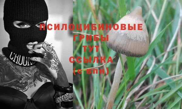 spice Нягань