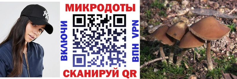 Псилоцибиновые грибы Psilocybine cubensis  Кущёвская 